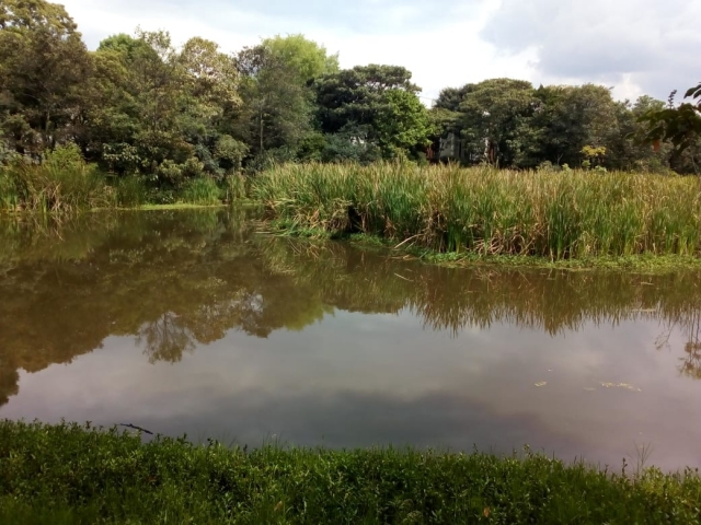 IMG-20191226-WA0051.jpg