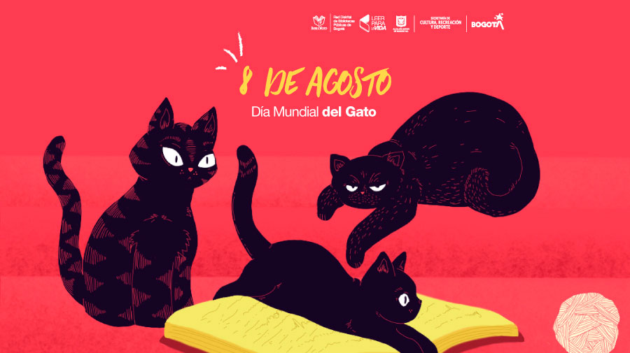 5 libros para festejar el Día del gato