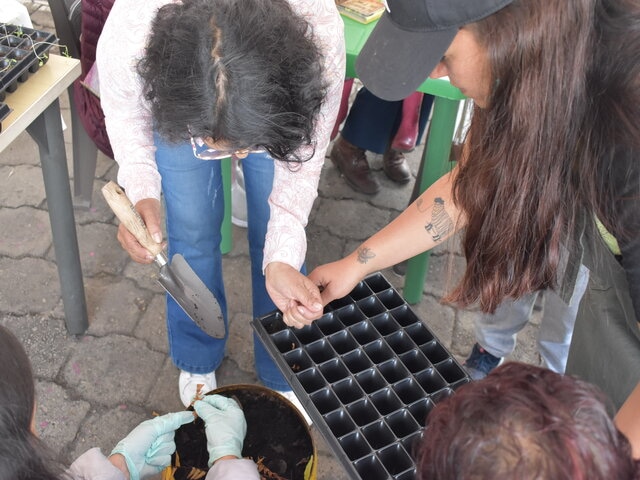 Mujeres clasificando semillas