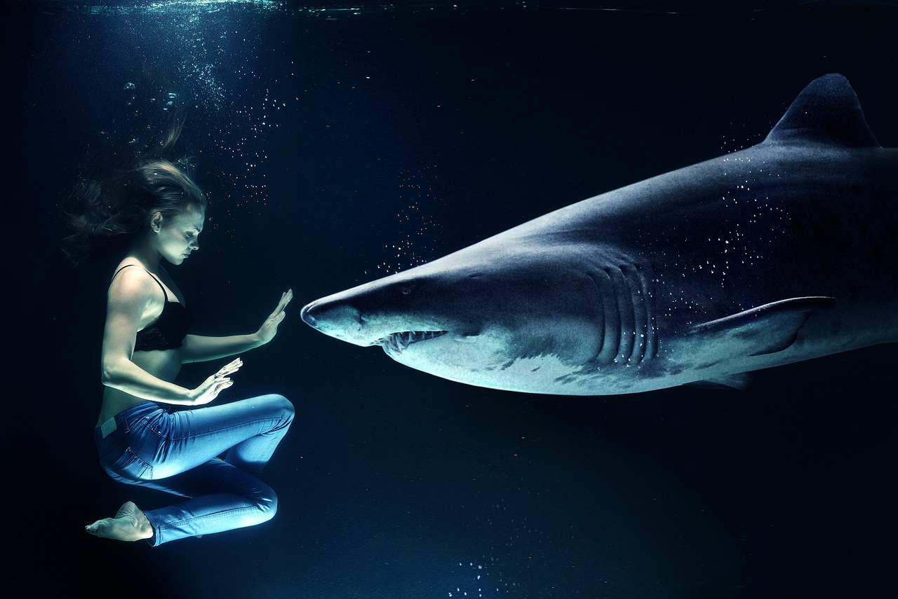 Mujer con tiburón