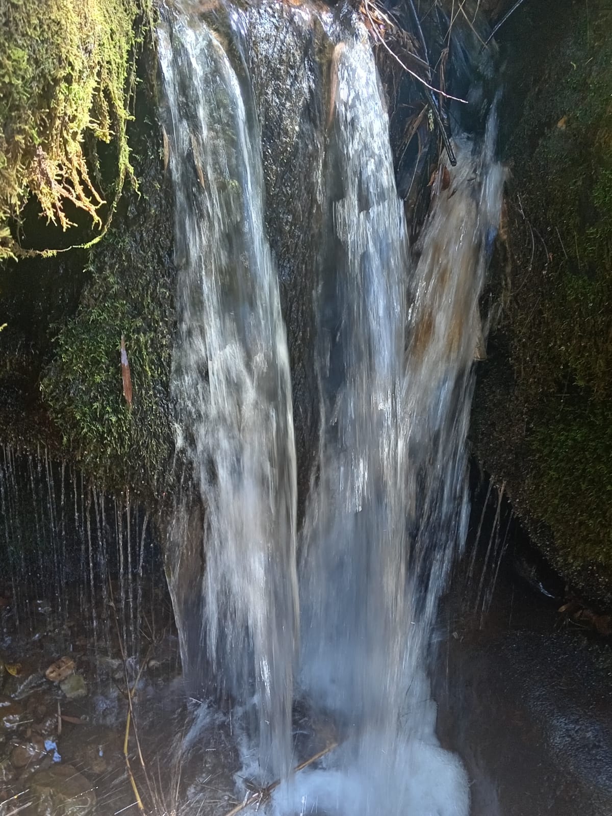 imagen de una cascada con agua corriendo.