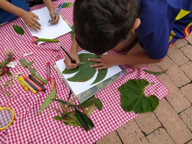 Niño dibuja hoja verde con crayones rodeado de hojas y crayones en mesa exterior.