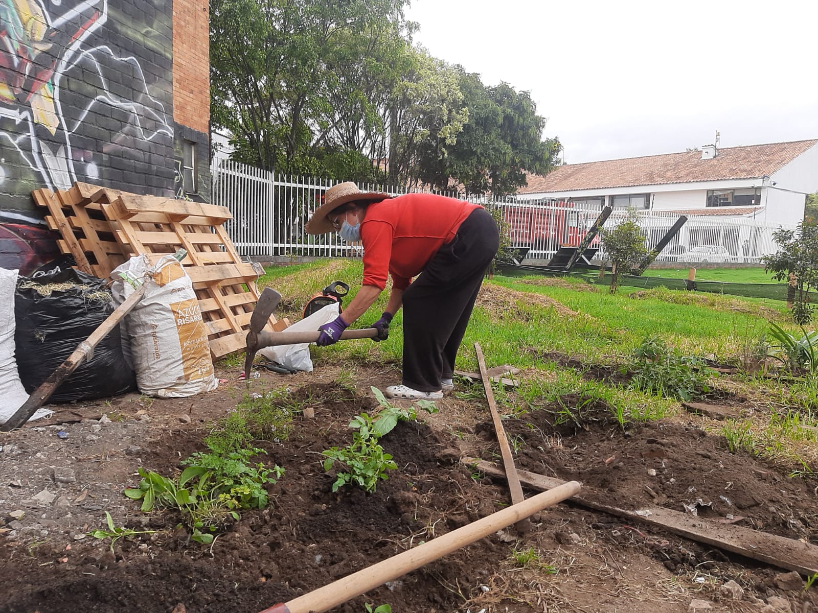 mujer preparando la tierra para sembrar en medio de una huerta comunitaria