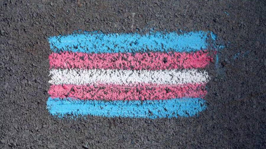 Día Internacional de la Visibilidad Transgénero / Katie Rainbow - Pexels