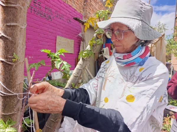 Biblohuerta cultivando saberes 