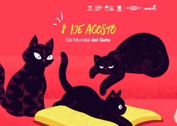 5 libros para festejar el Día del gato